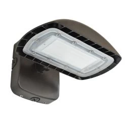 RAB Design Lighting ORA2-LED 30 Watts Multi-Purpose Exterior Wall Mounted Flood Light, Model ORA2-LED30-B-4K-BRZ-DIM-WMC*